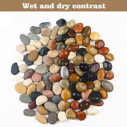FAHAXIKI Natural River Rocks-5 lbs of Pebbles and River Stones,1-2 Inch Plant Rocks for Landscaping,Garden Paving,Crafting,Walkways,and Outdoor Decorative Stone,Mexican Beach River Rocks