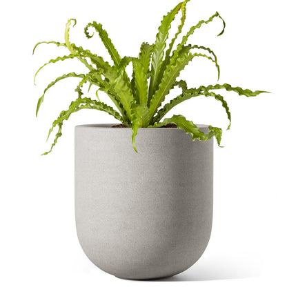 LE TAUCI 6 Inch Plant Pot, Ceramic Pot with Drainage Hole & Rubber Plug, Indoor Planter for Herbs & Small Houseplants, Cylinder Planter for Home Office, Neutral Gray