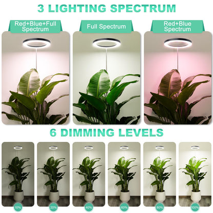 LORDEM 10" Full Spectrum Grow Light, 160 LEDs Plant Lamp for Indoor Plants, Grow Lamp with 4/8/12H Auto Timer, 6 Dimmable Levels, 3 Spectrum Modes, 65" Height Adjustable, Ideal for Large Tall Plants