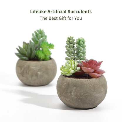 SPEPLA Succulents Plants Artificial 4 Pack, Mini Fake Succulents in Pots, Assorted Small Faux Succulent Decorative for Living Room Home Office Decor