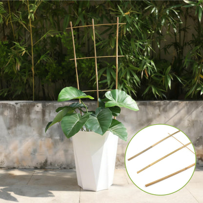 5 Pack 16" Bamboo Trellis for Climbing Plants-Natural Garden Ladder Fan -Shaped Plants Support Trellis for Potted Plant Decor in Door