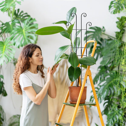Coomin 32.6in Monstera Plant Support Stakes for Outdoor Plants, Garden Trellis for Climbing Plants, Metal Stakes for Potted Plants Pothos Plant Climber Support, 2P