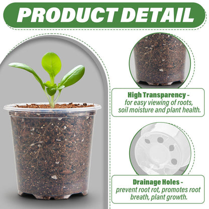 RooTrimmer 3.5" Clear Seeding Pots 100-Pack Round for Seeds Starter Pots, Seeds Germination Transparent Nursery Pots with Drainage Holes (100PCS)