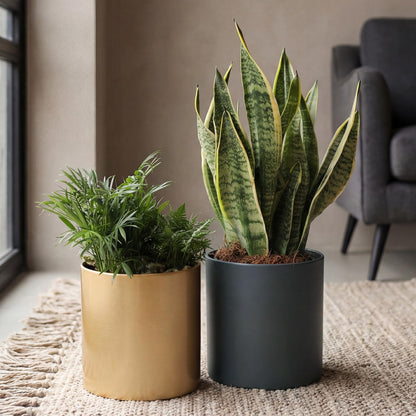 Rioneta Metal Plant Pot with Drainage Hole,Mid Century Modern 7 inch Round Pot Indoor Outdoor Planters Gift for Decorative Pots of Tabletop Living Room Bedroom Gold