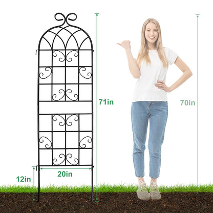 Lorenzo 2 Pcs 70 x 19.7 inch Metal Garden Trellis for Climbing Plants, Black Metal Coating Rustproof, Perfect for Supporting Climbing Plants Outdoor