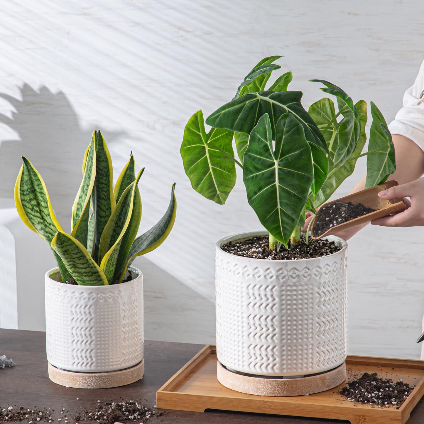 POITONRU Indoor-Outdoor Ceramic Plant Pots: 8 Inch Flower Pots with Drainage Hole & Saucer - Decorative Ceramic Pots for Plants Herbs Succulents - Home Garden Patio Lawn Use