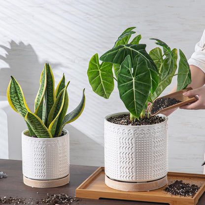 POITONRU Indoor-Outdoor Ceramic Plant Pots: 8 Inch Flower Pots with Drainage Hole & Saucer - Decorative Ceramic Pots for Plants Herbs Succulents - Home Garden Patio Lawn Use