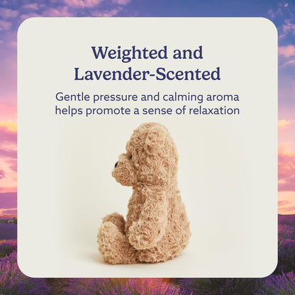warmies Microwavable & Weighted Stuffed Animals, Brown Curly Bear - Heated Stuffed Animal Plushie for Warmth & Comfort - Cute Soft Plush Toys for Adults & Children (Boys, Girls, Babies & Toddlers)