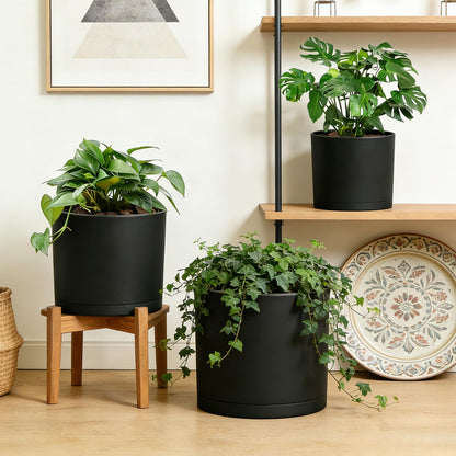 DGJDLWHX Large Plant Pots Set of 3 – 8", 9", 10" Indoor Flower Pots with Drainage Holes and Saucers, Big Planters for Monstera, Fiddle Leaf Fig, Snake Plant – 5 Colors