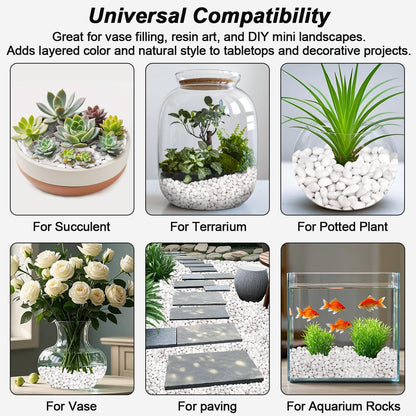 Fish Tank Rocks,Landscaping Pebbles,Decorative Ornamental Pebbles Garden,Landscaping Stones Gravel Filler for Home Decoration Flower Bed Fish Tank Plants Vases Succulents (5 Pounds, White)