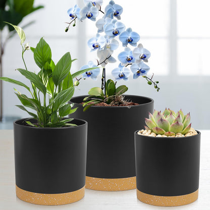 WSMKSZ 5 Pack Cylindrical Flower Pots with 7/6.5/6/5/4 inch, Modern Small Plastic Plant Pots with Drainage Holes & Saucers, Round Planter Pots for Outdoor, Indoor & Office Decor (Black Brown)