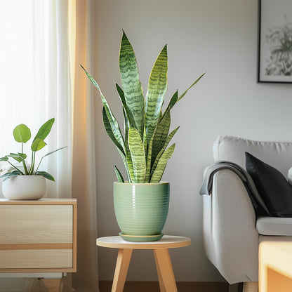 EPFamily Ceramic Plant Pots - 6 Inch Ceramic Planter with Drainage Hole and Saucer, Modern Planters for Indoor Outdoor Plants, Round Flower Pots, Office House Decor, Gifts for Women Men, Bright Green