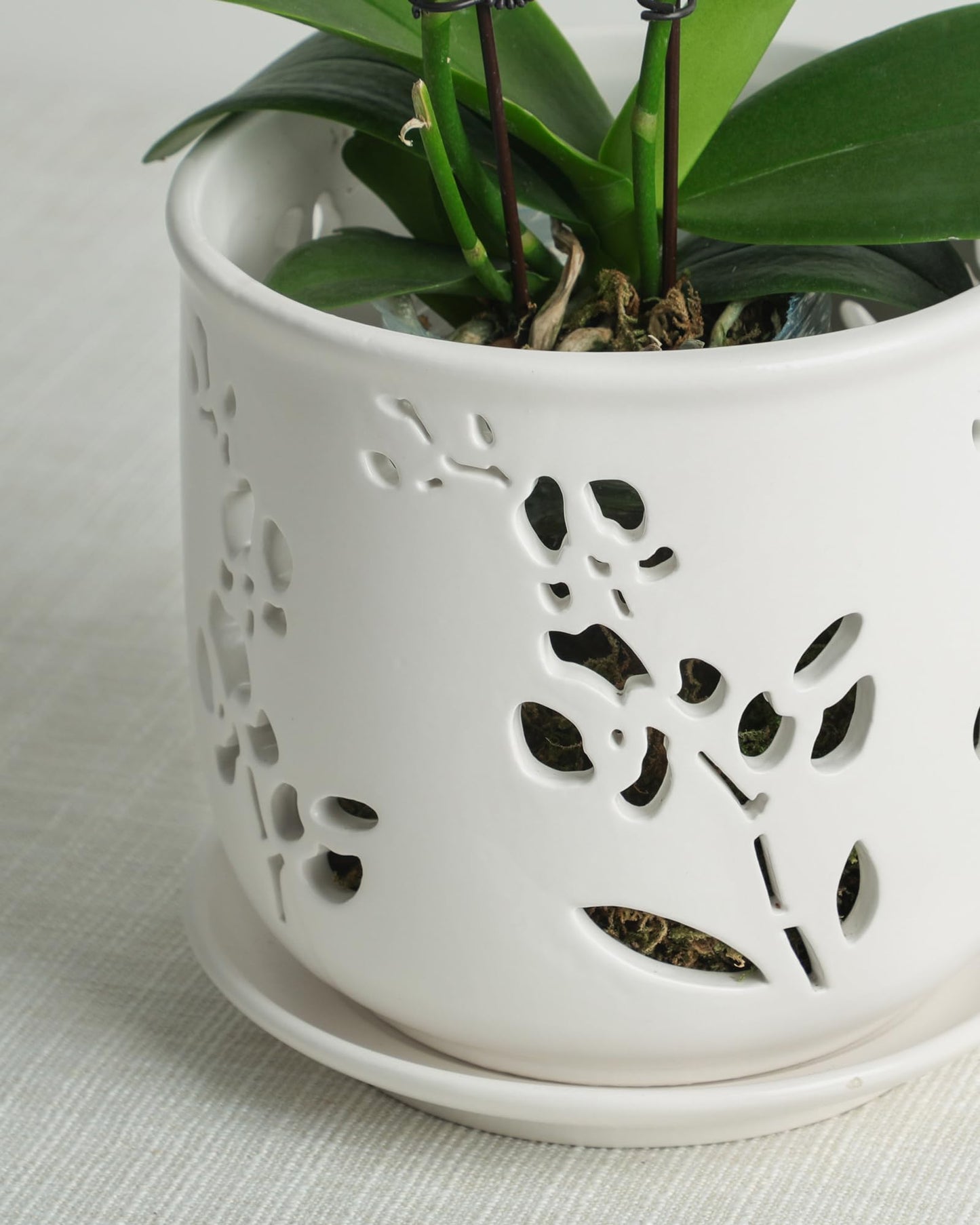Fayoula Orchid Pot, 6.5 inch Large Orchid Pots with Holes for Healthy Growth and Easy Repotting, Premium Ceramic Orchid Planter for Indoor and Outdoor Use, (Note : Plant Not Included)