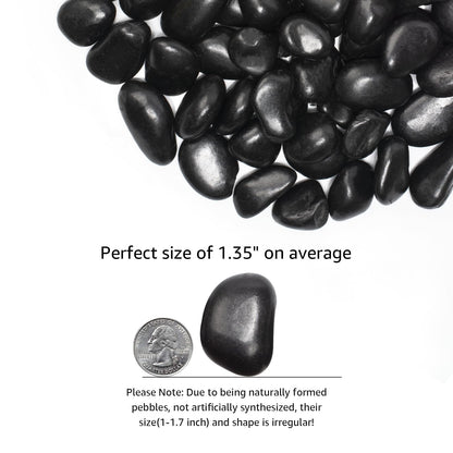 LOOIOOJ 10 lbs Black River Rocks - Large Polished Black Pebbles for Plants & Garden Decorative Stones，1-2" Polished Pebbles for Landscaping, Fish Tanks, Flower Pots, Water Fountains