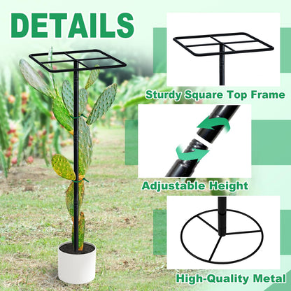 iCHKED 63'' Metal Dragon Fruit Trellis, Adjust Durable Dragon Fruit Plant Trellis Support Garden Fruit Stand for Vertical Climbing Plants Trees Cactus Roses Vines Outdoor Indoor,1 Pcs