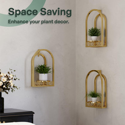 Rioneta Wall Hanging Planters, Modern Iron Frame for Indoor/Outdoor Plants, Stylish Decor for Living Room, Garden, Patio 3 Pack Gold（No Light）