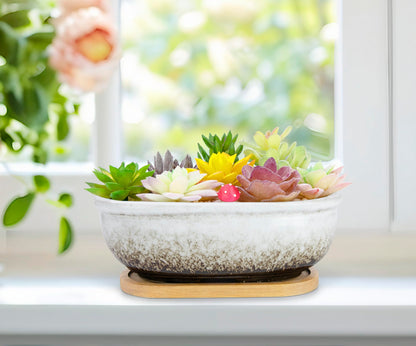 Succulent Pots, 1 Rectangle Planter + 1 Ceramic Bonsai Pot with Drain Tray, 2 Pack Large Shallow Succulent Planters for Indoor Plants, Round Cactus Flower Plant Pot for Desk Windowsill Decor