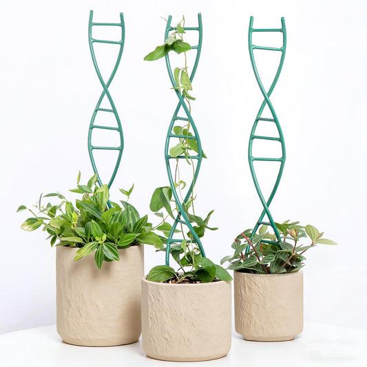 Yohsnor Indoor Plant Trellis for Potted Plants - Upgraded Metal Spiral Design for Climbing Plants, Durable Powder Coated Support for Small Houseplant Pots, Ideal for Indoor & Outdoor Use