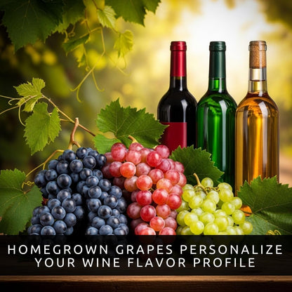Grape Growers Plants Kit - 3 Live Grape Plants – Red, Green & Concord Varieties – Healthy Fruit Vines – Ready to Plant – Grow Sweet Table Grapes at Home - Ship Bare Root