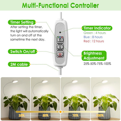 LORDEM Small Pot Clip Grow Light, Full Spectrum LED Plant Grow Lamp for Indoor Growing, Auto On/Off Timer 4/8/12H, Plant Light with 4 Dimmable Brightness Levels, Ideal for Small Indoor Plants, 2 Pack