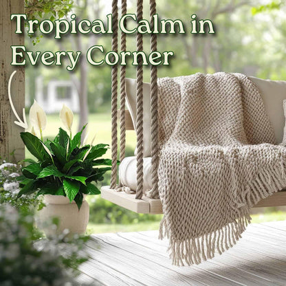 Spathiphyllum Peace Lily - Flowering Foliage Plant - 3 Gallon Planter - Overall Height 24" to 28" - Tropical Plants of Florida (Plant in Growers Pot)