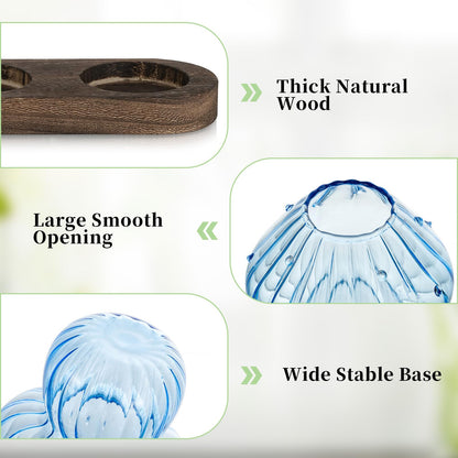 Glasseam Mushroom Plant Propagation Stations: Glass Terrarium Jars with Wood Stand - Unique Hydroponic Planters for Indoor Plants, Office Decor - 5 Pcs
