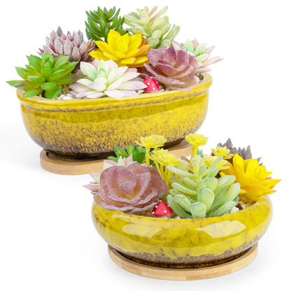Succulent Pots, 1 Rectangle Planter + 1 Ceramic Bonsai Pot with Drain Tray, 2 Pack Large Shallow Succulent Planters for Indoor Plants, Round Cactus Flower Plant Pot for Desk Windowsill Decor
