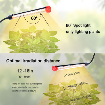 GroCruiser 4Head Tabletop Grow Lights for Indoor Plants, Seed Starting, Bonsai, 4/8/12/16/20H Timer, 36 Watt Power Draw, NO Need Adapter, Bright and Big Coverage, Best Gift for Plants Lover