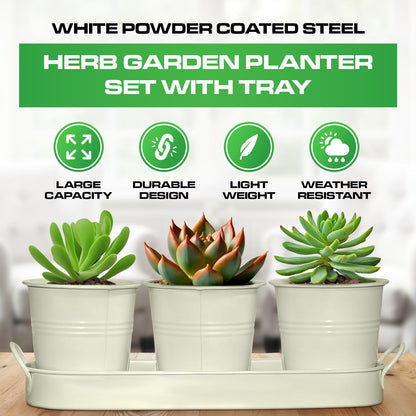 Plexon Herb Planter Indoor Garden Set of 3 with Tray, Metal Herb Pots for Indoor Plants, Round Kitchen Garden Kit Ideal for Windowsill Planter or Countertop, Off-White Powder Coated