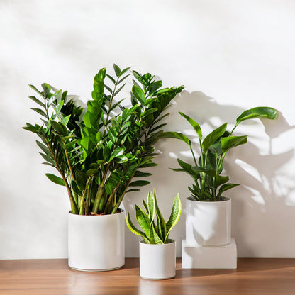 vancasso 6"+8"+10" Ceramic Pot for Plants, Large Outdoor Indoor Planter Pots with Drainage Holes, Set of 3, White