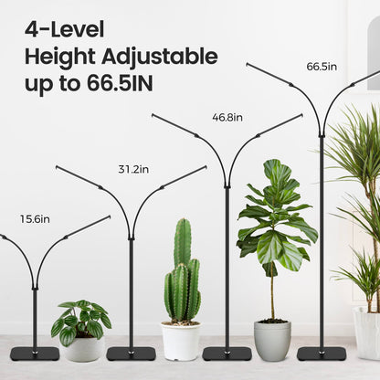 MistyJungle Plant Grow Light for Indoor, Full Spectrum Dual Heads Grow Light, 66.5in Extendable Stand,144 LEDs,10-Level Dimmable, Auto Timer, Adjustable Gooseneck Floor Lamp for Tall Large Plants
