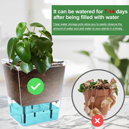 IWNTWY Self Watering Pots Set, 3 Pack 5/4.1/2.7 Inch Self Watering Pot for Indoor Plants, Clear Flowers Pot Planter with Deep Reservoir for Spider Plant, Orchid, African Violet