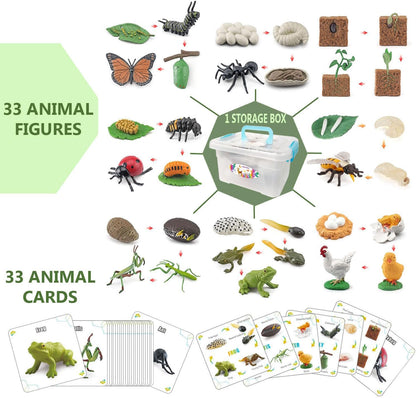 QuarenDen Life Cycle Animal Kit, 33 PCS, Montessori Toy, Realistic Figurine Set, Kids Animal Match Sets Game with Frog, Butterfly, Chicken, Learning & Educational Gift for Age 3+ Boy and Girl