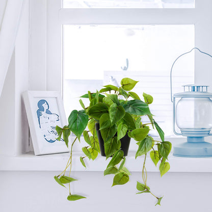 LuckyGreenery Artificial Scindapsus Aureus, Realistic Fake Plant with Plastic Pot for Home Office Garden Decoration 1 Pack(8in H)
