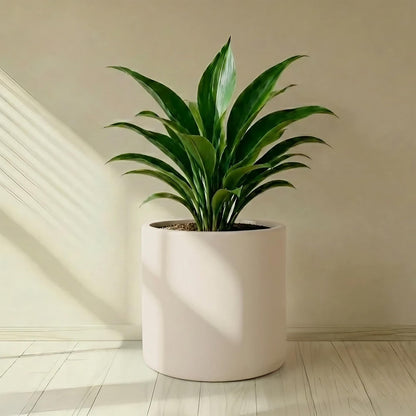 DEPLA LANE Lumero Fiberstone Cylinder Planter (14.0" Pot Opening x 15.7" D x 15.7" H) Smooth Finishes, Lightweight, Durable, UV Resistant, Minimalist Decor, Indoor Outdoor Plant Pot (XL, Cream White)