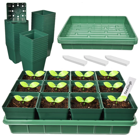 June Fox 60 Small Nursery Pots for Plants, 5 Seed Starter Tray Kit, 3.3 Inch Plastic Seedling Pots with Seedling Starter Trays, 60 Plant Tags (Green)