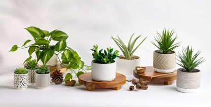 Kurrajong Farmhouse Dark Green Fake pothos | Fake Plant for Shelf Decor | Artificial Trailing Ivy Plant with 5" Wide Ceramic Pot | Faux pothos | Feaux Pothos | Bathroom and Kitchen Decor