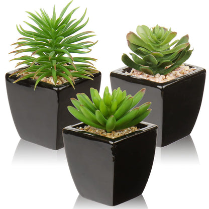 Hollyone Small Succulents Artificial 3 Pcs Faux Succulents in Pots Fake Succulent Plants with Black Ceramic Pots for Modern Home Office Desk Bathroom Shelf Living Room Decor
