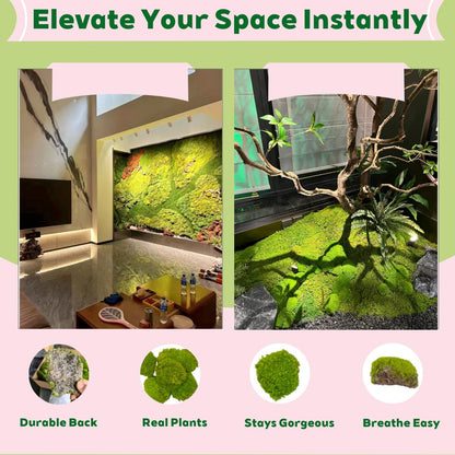 Cigarlemon Preserved Moss for DIY Crafts - 1.5 sq.ft Natural Dried Moss for Terrarium, Fairy Garden, Home Decor, Wall Art, Floral Arrangements - Flexible Real for Creative Projects, Dark Green