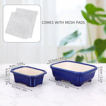Set of 2 Zisha White Clay Bonsai Pot Glazed Shallow Succulent Planter Blue