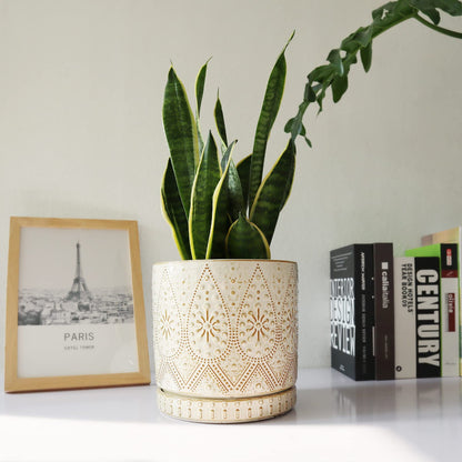 YFFSRJDJ 8 Inch Indoor Plant Pot with Drainage Holes and Saucers, Ceramic Planter for Plants, Succulent Orchid Flower Pots