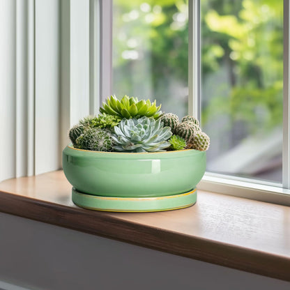 EPFamily 10 Inch Bonsai Tree Pots - Ceramic Succulent Pots with Drainage Hole and Tray, Shallow Planter for Indoor Outdoor Plants, Round Planters, House Decor, Gifts for Plant Lovers, Light Green