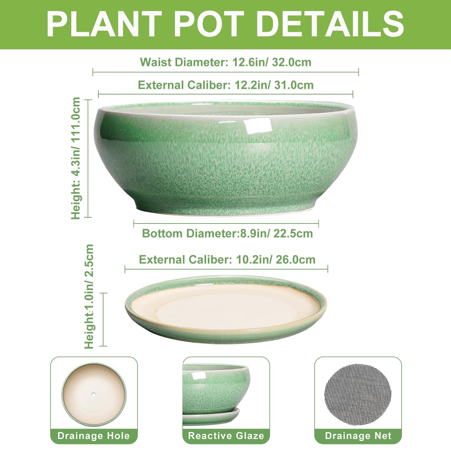 SQOWL Succulent Planter 12 Inch - Ceramic Bonsai Pots with Drainage Hole and Saucer, Large Shallow Planter, Bowl Round Planter for Indoor Outdoor Plants Flower, Room Decor, Birthday Gifts, Green