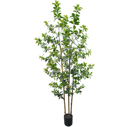 ZSENENT Fake Trees Premium 3 Main Trunks 6 ft Faux Black Olive Tree, Realistic Olive Trees Artificial Indoor, Low-Maintenance, Ideal Artificial Tree for Home Office Décor (Reds, 6 FT)