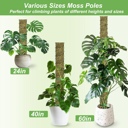 HOLANHING 60"/40"/24" Metal Moss Pole, D Shape Sphagnum Moss Pole, Moss Poles for Climbing Plants, Monstera, Indoor Climbing Plants (2 Each of 60" 40" 24")