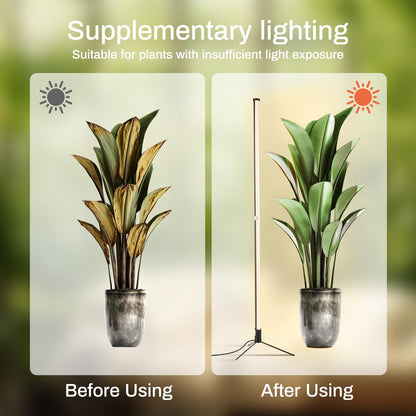 Atmel Standing Grow Lights for Indoor Plants with Timer, 3 Adjustable Modes Full Spectrum Plant Lights for Indoor Growing, 243LED Plant Grow Light for Flowering, Office, Indoor Garden