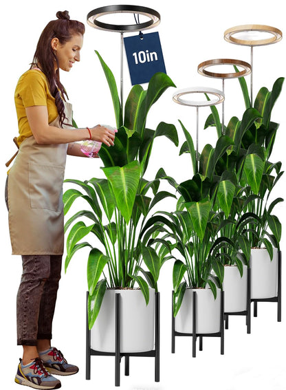 10" Grow Lights for Large Indoor Plants, Full Spectrum Indoor Plant Light for Indoor Growing with Timer,Height Adjustable Auto On/Off 3/9/12H, 9 Brightness,Led Tall Halo Grow Light for House Plants