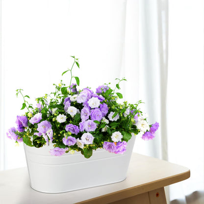 Foraineam 4 Pack Hanging Flower Pots, Metal Iron Plant Pot Holders, Large Fence Railing Balcony Garden Hanging Bucket Planters with Detachable Hooks for Indoor and Outdoor Decor