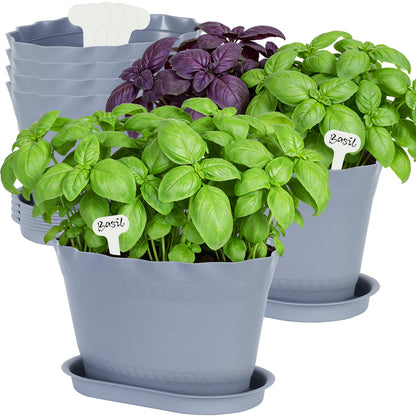 Oliz Herb Planter Pots 6 Pcs, Window Box Planter Flower Plants Pots for Succulent Cactus Flower with Trays, for Home Garden Kitchen Decor (Grey)