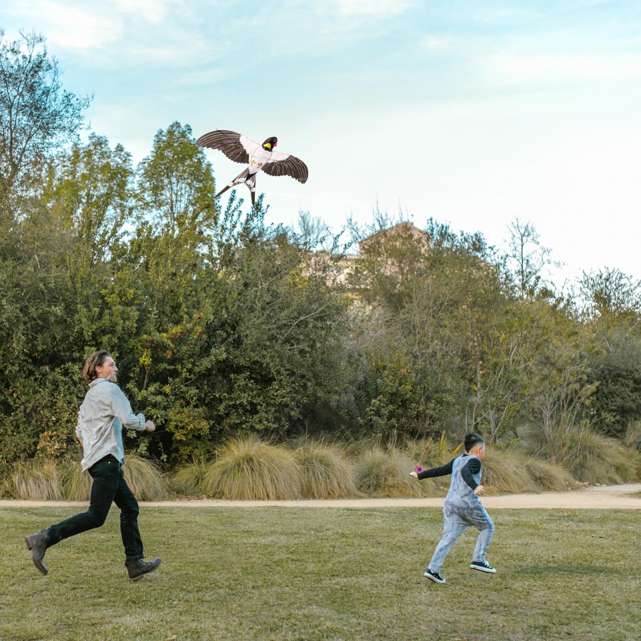 Gogogmee Swallow Bird Kite with Fishing Pole Easy to Fly Lightweight Outdoor Kids Kite for Family Fun and Play
